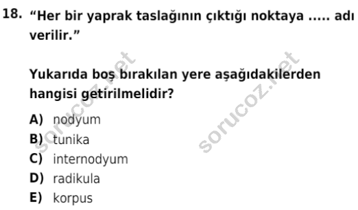 auzef isglisans 342 18