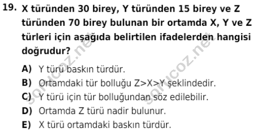 auzef isglisans 342 19