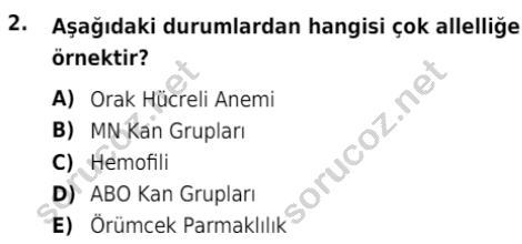 auzef isglisans 342 2