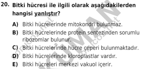 auzef isglisans 342 20