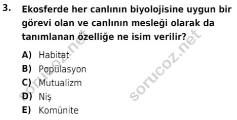 auzef isglisans 342 3