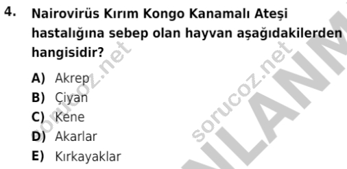 auzef isglisans 342 4