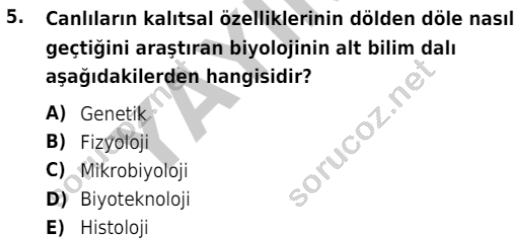 auzef isglisans 342 5