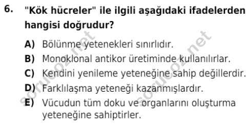 auzef isglisans 342 6