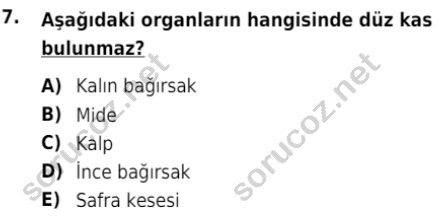 auzef isglisans 342 7