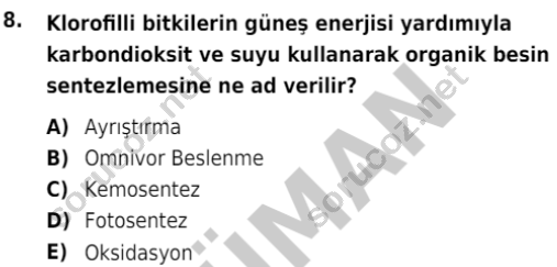 auzef isglisans 342 8