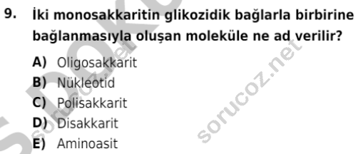 auzef isglisans 342 9