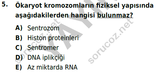 auzef 001501