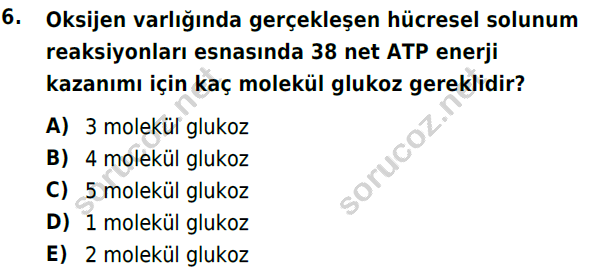 auzef 001502