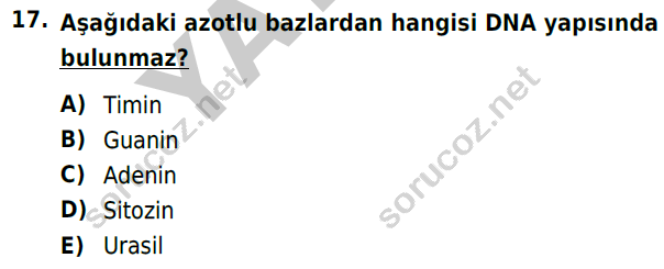 auzef 001513