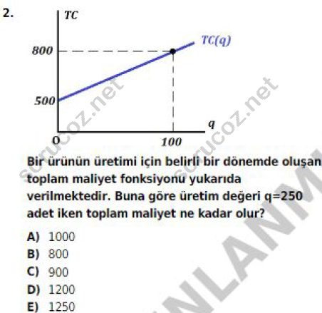 auzef 001578