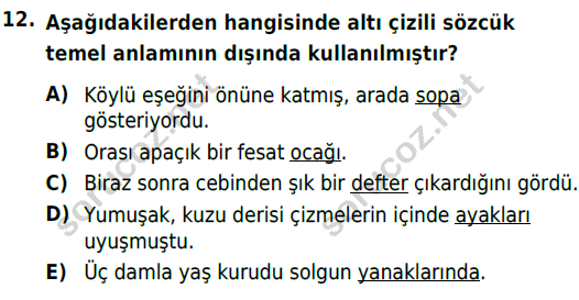 auzef cocukgelisimlisans 56 12