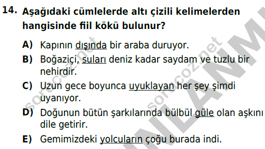 auzef cocukgelisimlisans 56 14