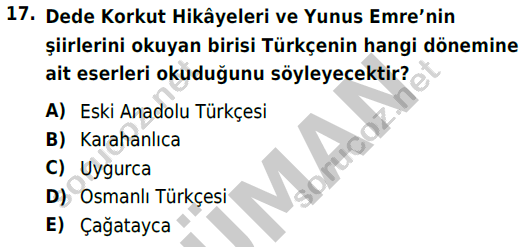 auzef cocukgelisimlisans 56 17