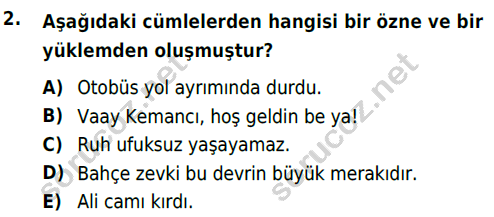 auzef cocukgelisimlisans 56 2