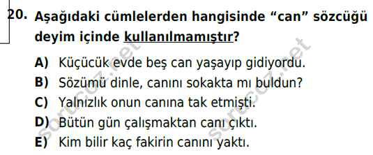 auzef cocukgelisimlisans 56 20