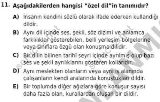 auzef cocukgelisimlisans 56 11