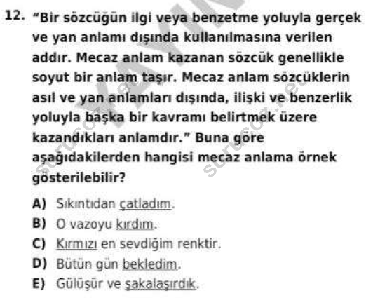 auzef cocukgelisimlisans 56 12