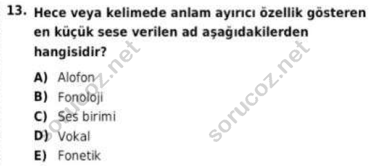 auzef cocukgelisimlisans 56 13