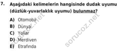 auzef cocukgelisimlisans 56 7