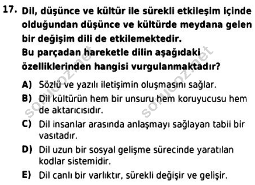 auzef cocukgelisimlisans 56 17