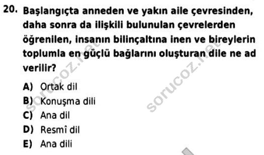 auzef cocukgelisimlisans 56 20