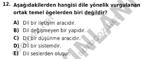 auzef cocukgelisimlisans 56 12