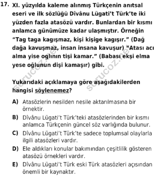 auzef cocukgelisimlisans 56 17