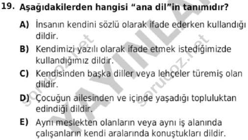 auzef cocukgelisimlisans 56 19