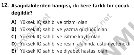 auzef cocukgelisimlisans 86 12