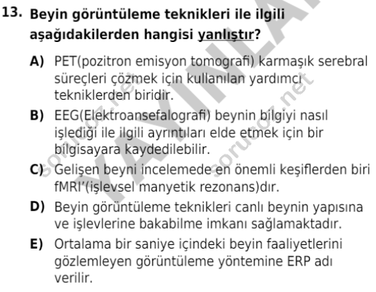 auzef cocukgelisimlisans 86 13