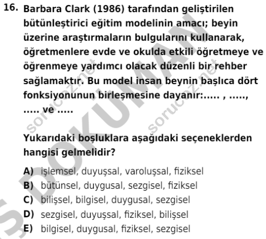 auzef cocukgelisimlisans 86 16