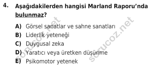 auzef cocukgelisimlisans 86 4