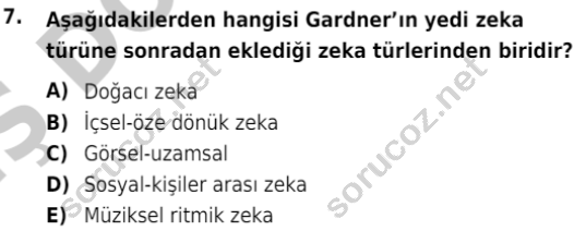 auzef cocukgelisimlisans 86 7