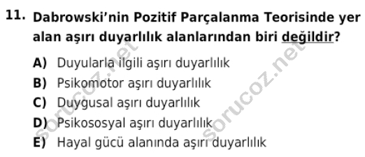 auzef cocukgelisimlisans 86 11