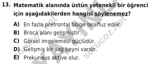 auzef cocukgelisimlisans 86 13