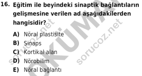 auzef cocukgelisimlisans 86 16