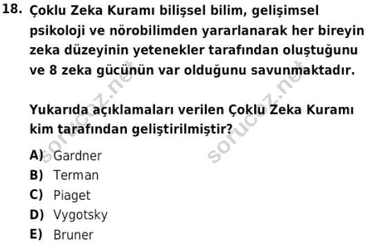 auzef cocukgelisimlisans 86 18