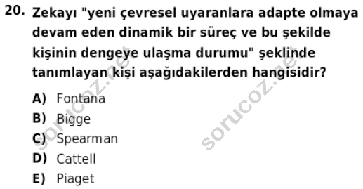 auzef cocukgelisimlisans 86 20