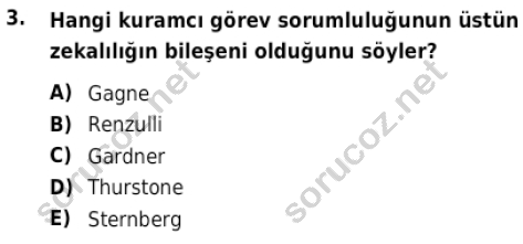 auzef cocukgelisimlisans 86 3