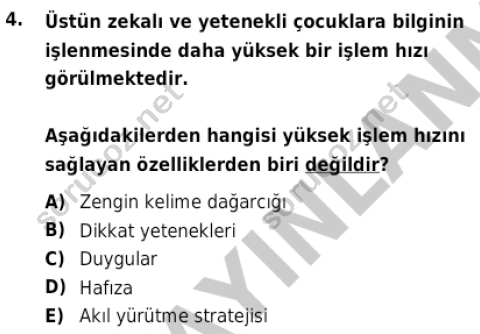 auzef cocukgelisimlisans 86 4