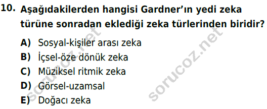 auzef cocukgelisimlisans 86 10