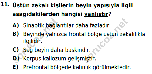 auzef cocukgelisimlisans 86 11