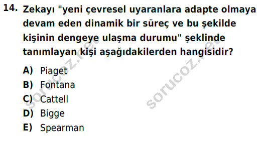 auzef cocukgelisimlisans 86 14