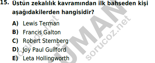 auzef cocukgelisimlisans 86 15