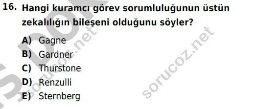 auzef cocukgelisimlisans 86 16