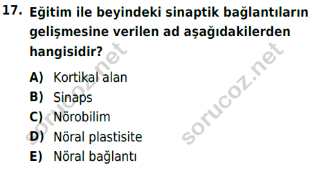 auzef cocukgelisimlisans 86 17