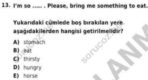 auzef cocukgelisimlisans 57 13