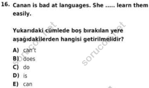 auzef cocukgelisimlisans 57 16