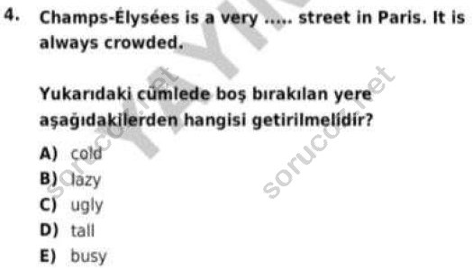 auzef cocukgelisimlisans 57 4